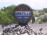City of Umatilla Sign